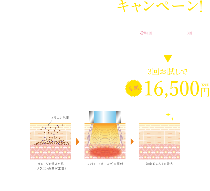 キャンペーン5