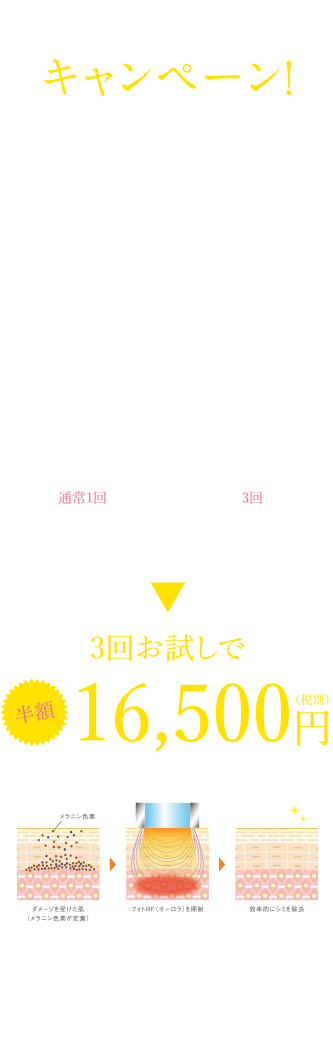 キャンペーン5
