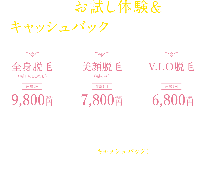 キャンペーン2