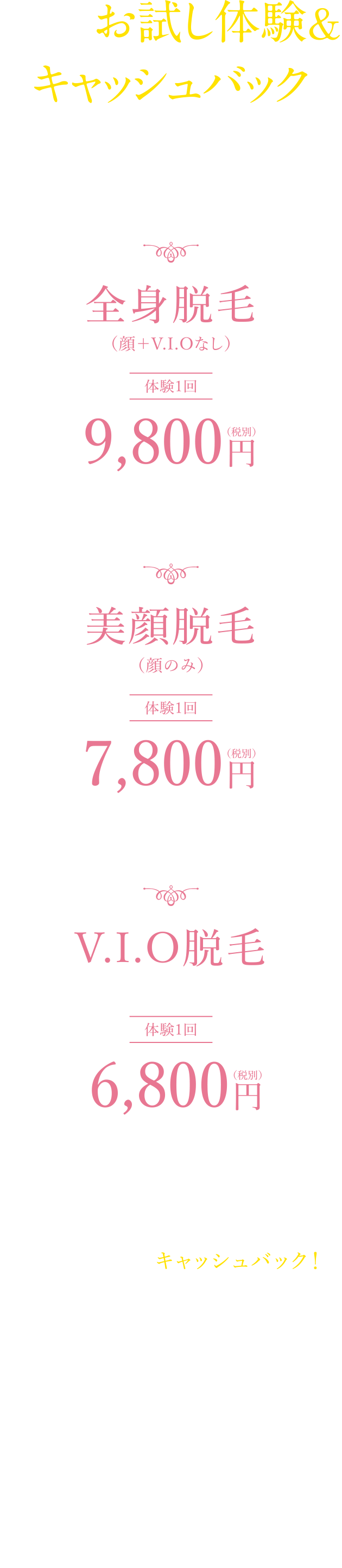 キャンペーン2